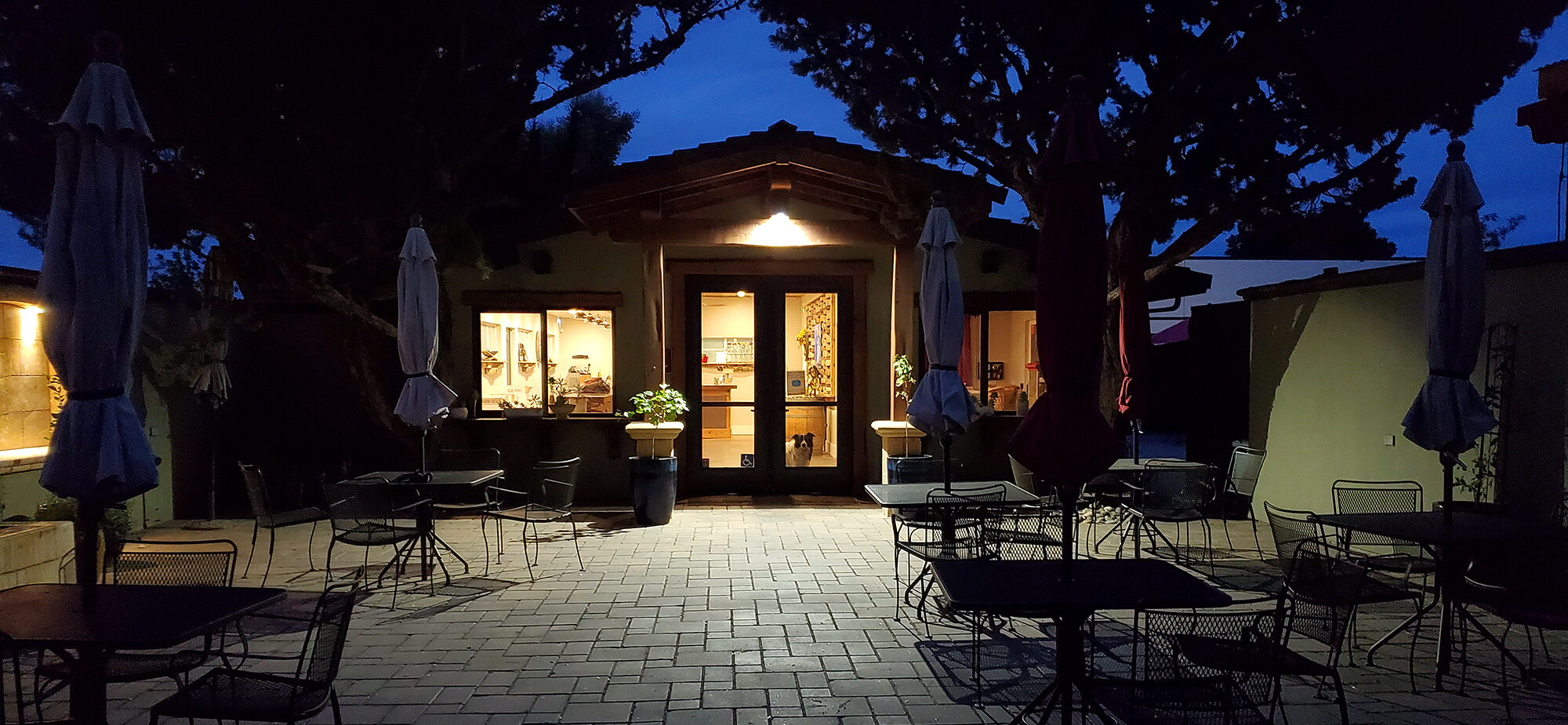 Tasting Room At Night