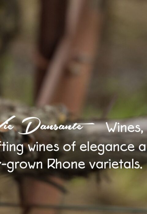 Welcome to La Vie Dansante Wines