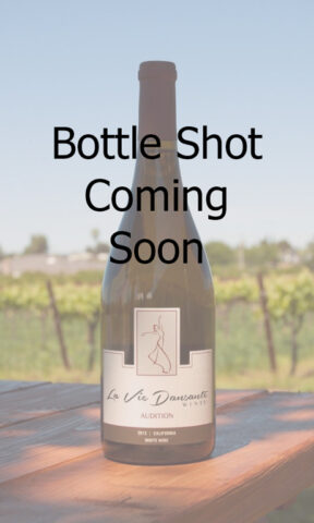 Photo of Coming Soon Wine Bottle